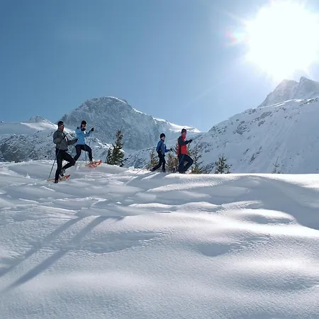 In Near Slopes 샬레