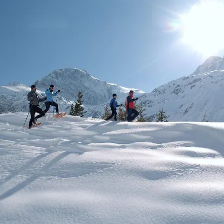 シャレー In Near Slopes バート・ホーフガシュタイン