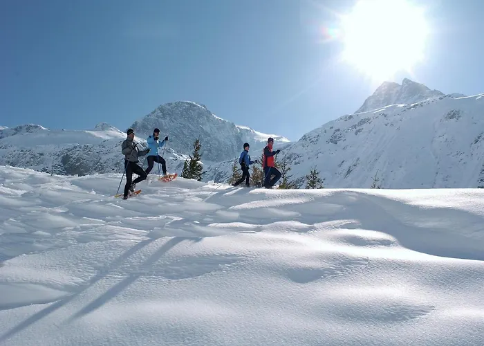 In Near Slopes 木屋