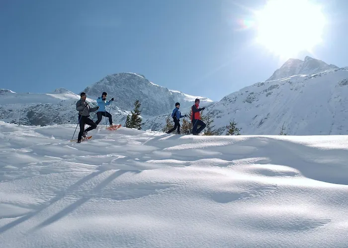 Σαλέ In Near Slopes Bad Hofgastein